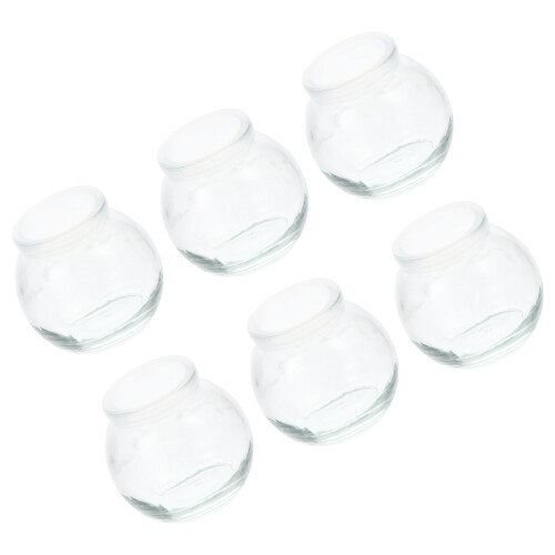 6St Multifunctionele Glazen Jellyflessen Met , Herbruikbaar
