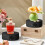13cm Automatic Turntable, Live Broadcast Jewelry Model Video Electric Rotating Table, Panoramic Display Table B 5