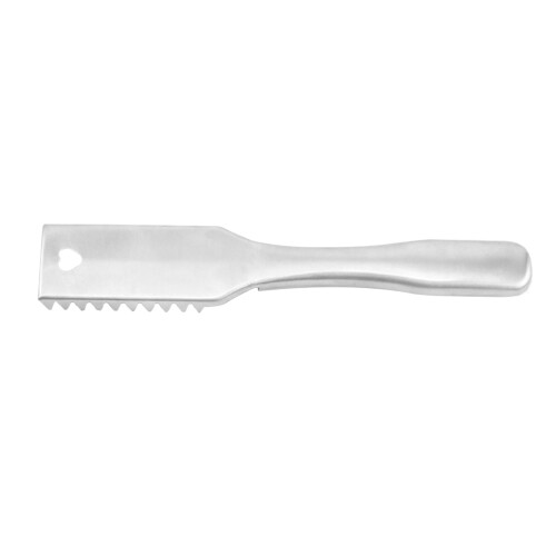 Outil Grattoir Poisson Acier Argenté Cuisine