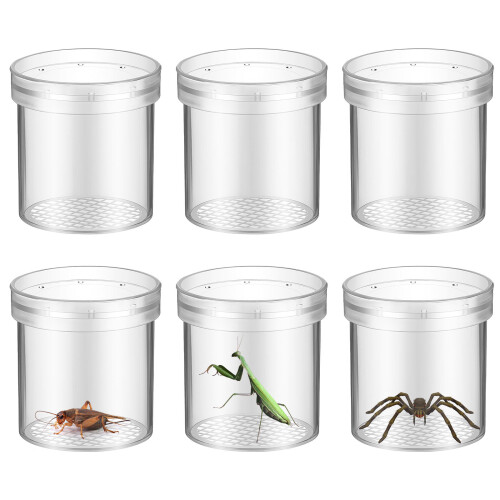 18Pièces Bocal Transparent Loupe Pour Observer Insectes Enfants