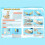 DIY Woodpecker Assemble Model Science Experimental Tool Kit STEM Kit for Learning Wooden Puzzle 5