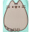 Pusheen Small Suitcase (Girls Green) 5