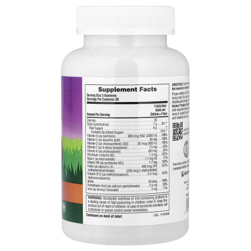 NaturesPlus, Animal Parade, Multivitamiini Gummies, Cherri, Grape & Orange, 90 Gummies 1