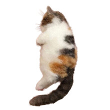 Poke Cat DIY Keychain Felting Kit for Beginners,  Set,Handmade Simulation Cat Material Bag,Gift for Kids & Adults
