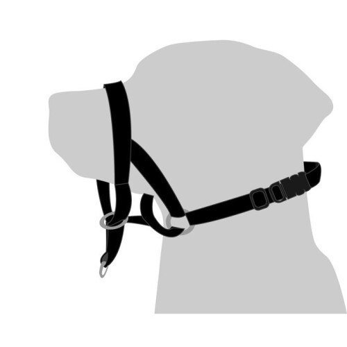 Leerhalsband Easy anti-trek XL 2