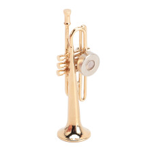 Realistic Metal Miniature Trumpet Magnet, Reusable Fridge Decor