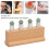 Peine de masaje rectangular con 4 cabezas Jadestone para raspado 5