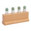 Peine de masaje rectangular con 4 cabezas Jadestone para raspado 16