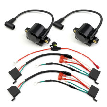 1 Conjunto de Bobina de Ignição Spark DSAI Advance Module para CH740 CV740 SV735 SV740 24-755-172-S 24-755-173-S