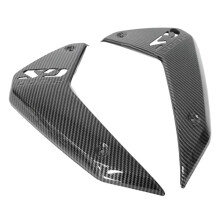 Motorradverkleidung Carbonfaser-Seitenverkleidung für  R1300GS 2024-2025 Motorradzubehör