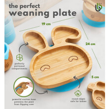 bamboo bamboo Baby and Toddler Plate with Suction Cup for Feeding and