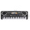 Electric Piano - DUO - 61 digital keys - ABS plastic - With microphone 2