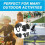 Kit de protección infantil - Marca - Patinaje, ciclismo - Casco ajustable - Coderas y rodilleras 4