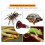 Durable Infrared Heat Lamp for Reptile Feeding (75W) 3