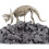 Dinosaurusfossiilien kaivuusarja - Triceratops 2