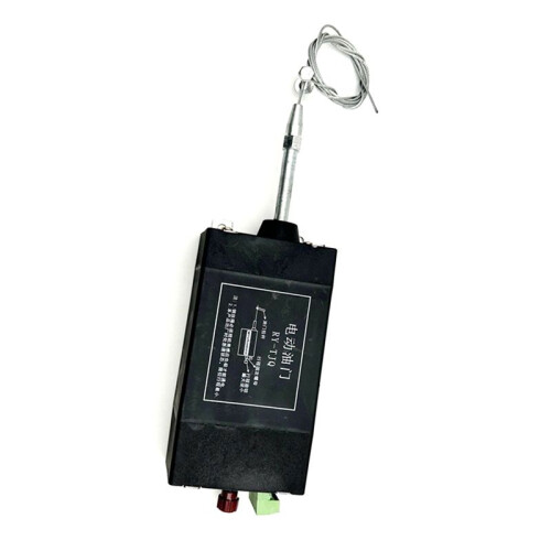 24V RYTJQ Electric Mode Electric Throttle Controller Engine Electronic Device 2