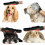 iGadgitz Home Pet Grooming Γάντι μασάζ Γούνα βούρτσα γάτας σκύλου (δεξιά) 4