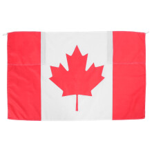 Washable International Flag Cape with Sleeves for Stadium Use