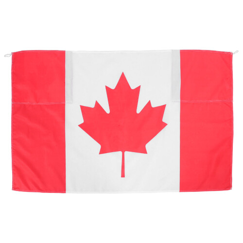Washable International Flag Cape with Sleeves for Stadium Use