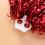 1Paire Pompons Usage Compétition 4