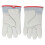 Gants antigel -436F/-260C, taille 26 cm 3