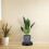 Plateau Pour Pots De Fleurs Roues Drainage ABS 5