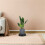 Plateau Pour Pots De Fleurs Roues Drainage ABS 6