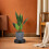 Plateau Pour Pots De Fleurs Roues Drainage ABS 7