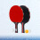 1Ensemble Raquettes Ping-Pong Bois Polyvalentes Pour Amateurs 4