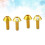 4St Gouden Aluminium Montage 9