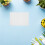 150Pcs Easy-Use Germination Paper for Sprouts and Hydroponic Planting 5