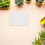150Pcs Easy-Use Germination Paper for Sprouts and Hydroponic Planting 6