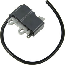 Bobines D'Allumage pour PB250LN PB250 C11907 A411000501 ES250 pour une Efficacité Moteur Améliorée