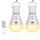2pcs Rechargeable Emergency Light Bulbs with Remote,3 Colors, Dimmable, Timer, E26 Base 1
