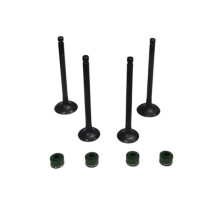 Motorcycle Engine Intake Exhaust Valves Kits for CA250 CMX250 CB 250 CB250 Valve Seal