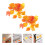 Raindrops  2 Sets Scrapbook Scrapbooking Pet Sticker Pack Child 11