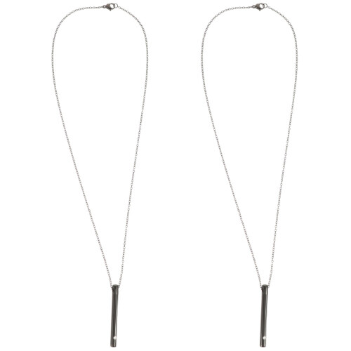 2Pièces Colliers Urne Cendrier Animaux Acier Noir Durable 1