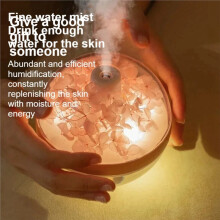 Humidificateur D'Ambiance Eternal Flower, Petit Modèle Portable, USB, pour Bureau ou Chevet