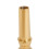 Embouchure Tuba Laiton Pour Étudiants Et Pros 6