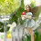 Handmade Resin Fairies 5pc Garden Decor 12