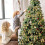 12 Unidades de 50 cm (20 Polegadas) de Abraçadeiras de Natal Reutilizáveis e Flexíveis para Guirlandas e Coroas de Natal, Ideais para Corrimãos de 6