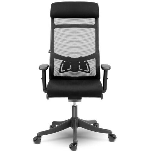 Ergonomischer Bürostuhl mit Mikronetz, Sofotel Brema, schwarz 1