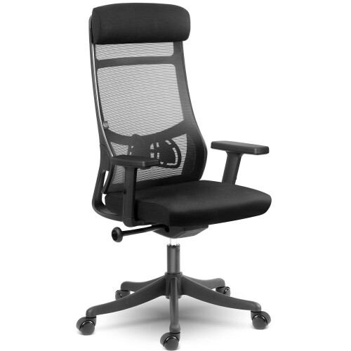 Ergonomischer Bürostuhl mit Mikronetz, Sofotel Brema, schwarz 2