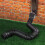 Flexible Gutter Downspout Extension 21-58in Drain Pipe Black 7