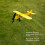 Garden Airplane Weather Vane 1