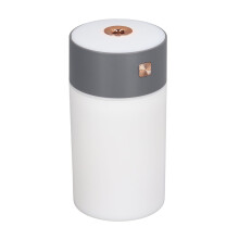 Desk Cool Mist Humidifier 300ml USB