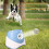 Upgraded Automatic  Launcher for Medium Dogs - Rechargeable Tennis  Thrower with Interactive Pinball Design USB 6