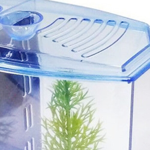 Double Fish Breeding Box Plastic Hatchery Incubator 19x9x14cm 2