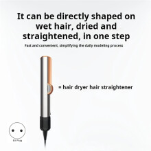 HT01 Hair Dryer Straightener, 2-in-1 Hair Dryer, Wet and Dry Use, No Hair Damage, EU Plug