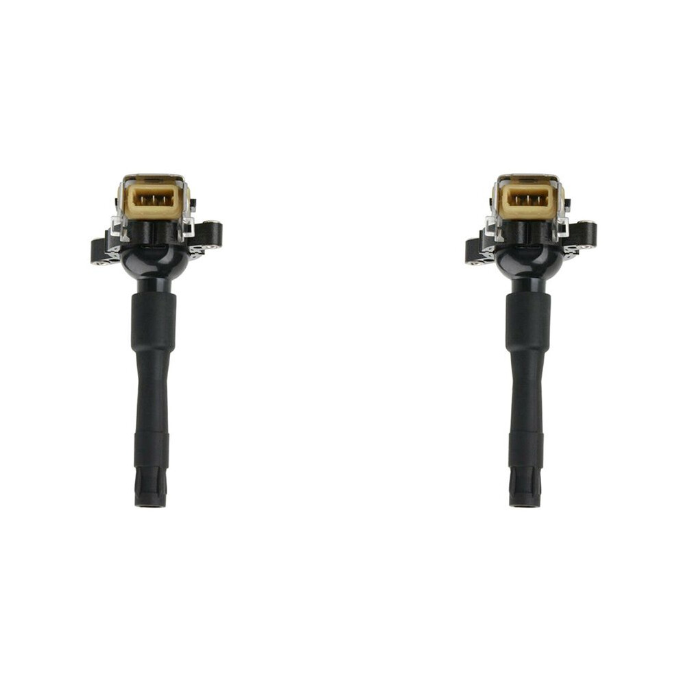 2X New Ignition Coil 12131748018 1227030081 For E38 E39 E31 X5 540I 750Il 4.4 4.6 12131703227 12131703228 6032031501700